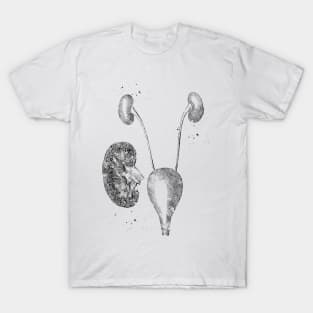 Urinary system T-Shirt